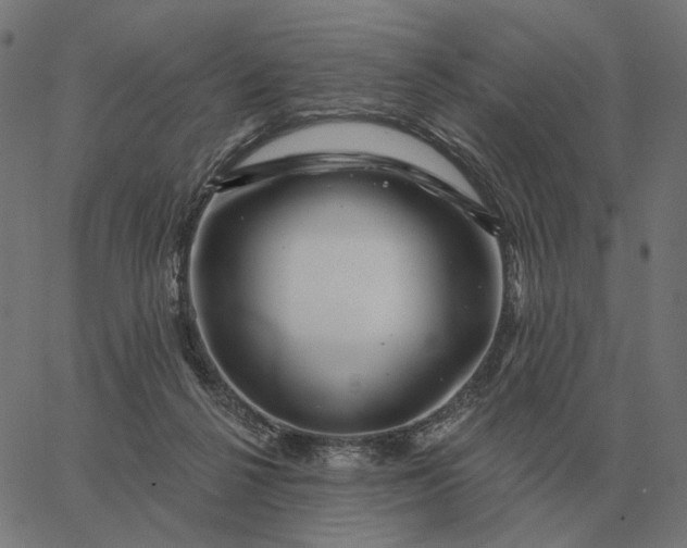 X0000065260264200603031836