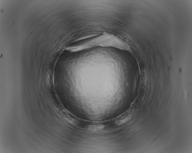 X0000065260266200603031836