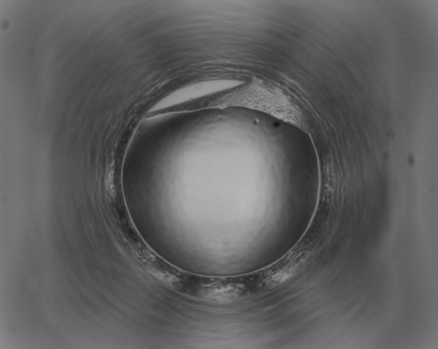 X0000065260267200603031836