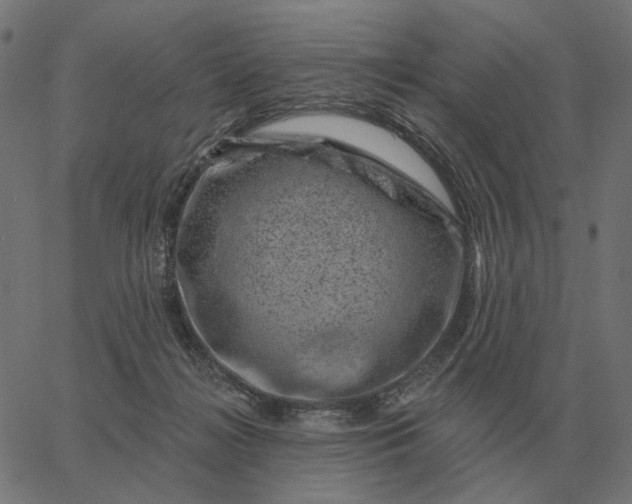 X0000065260268200603031836