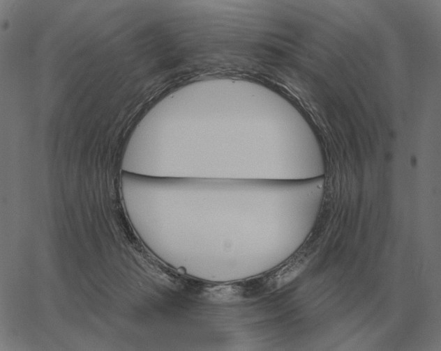 X0000065260269200603031836