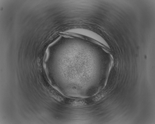 X0000065260270200603031836