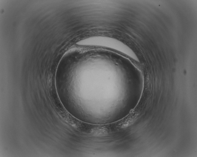 X0000065260271200603031836