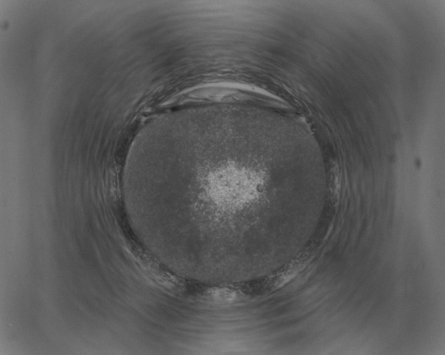 X0000065260272200603031836