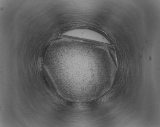 X0000065260273200603031836