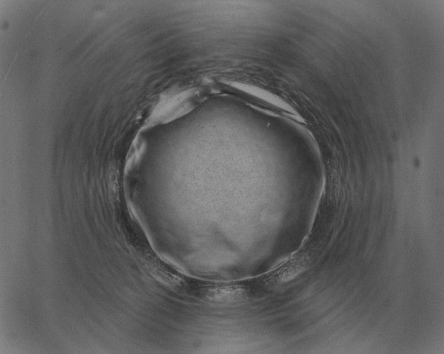 X0000065260274200603031836