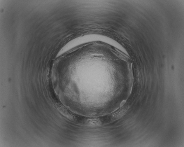 X0000065260275200603031836