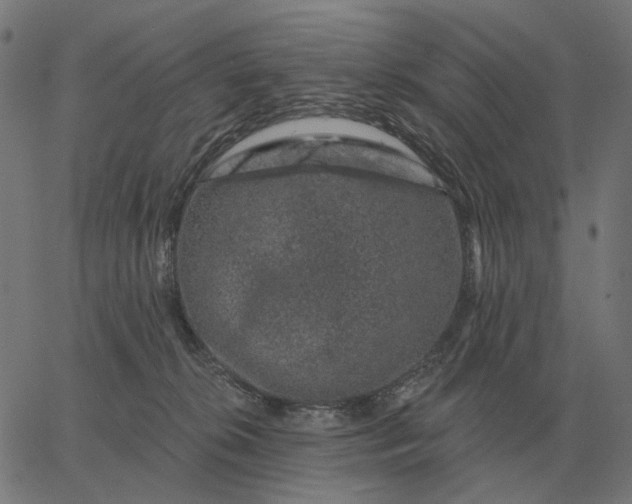 X0000065260276200603031836