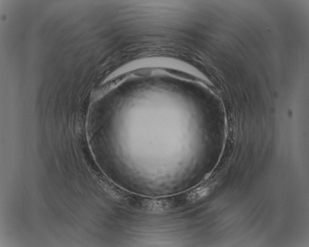 X0000065260277200603031836