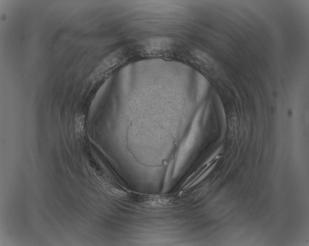 X0000065260278200603031836