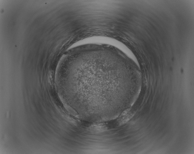 X0000065260280200603031836