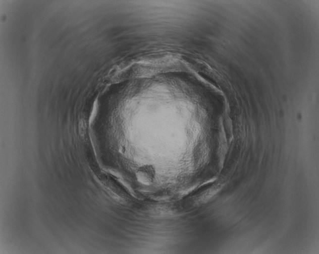 X0000065260281200603031836