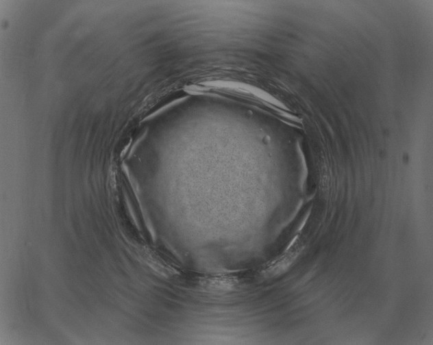 X0000065260282200603031836