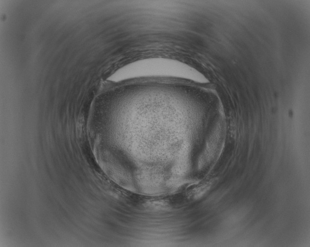 X0000065260283200603031836