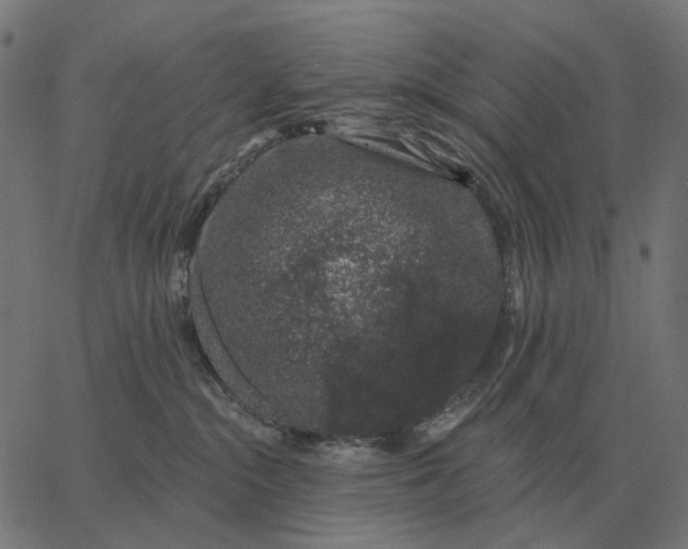 X0000065260284200603031836