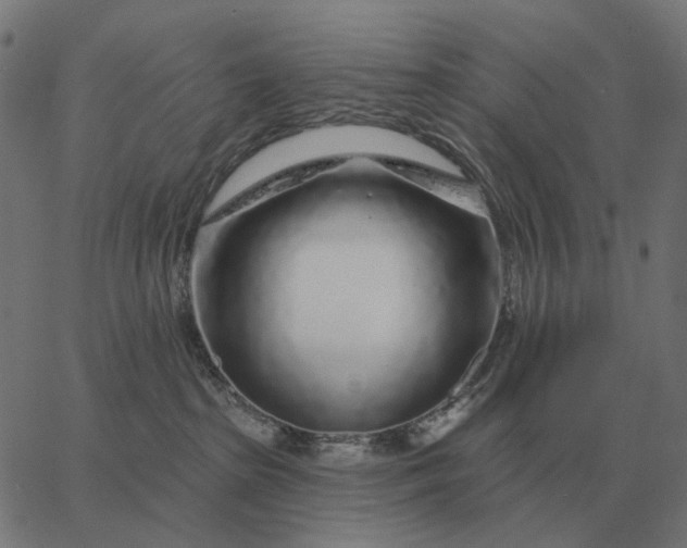 X0000065260285200603031836