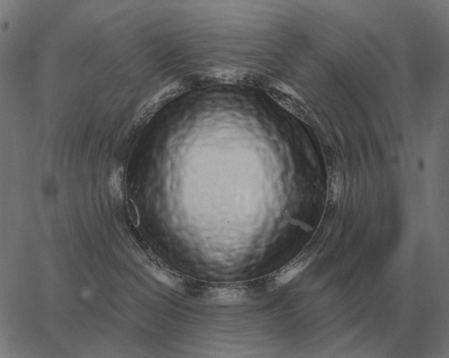 X0000065260286200603031836