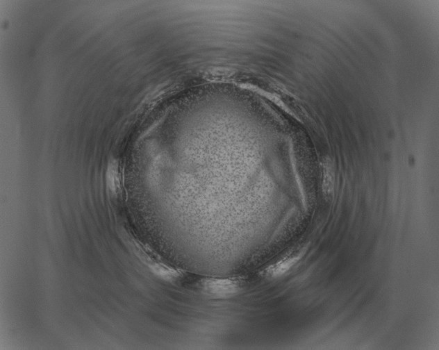 X0000065260287200603031836