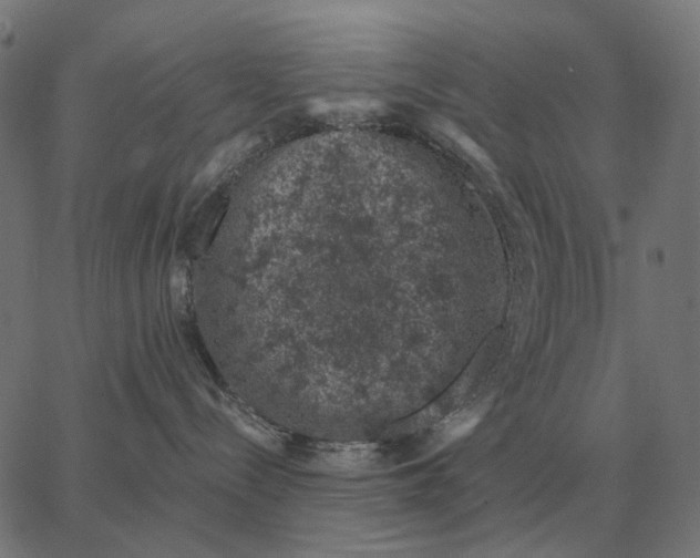 X0000065260288200603031836