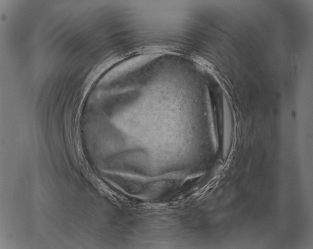 X0000065260289200603031836