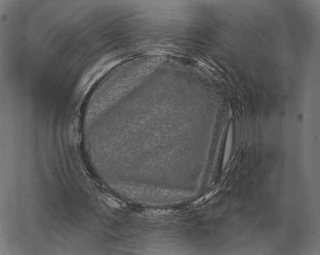 X0000065260291200603031835