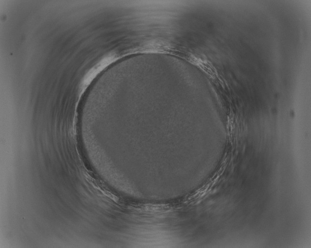 X0000065260292200603031835