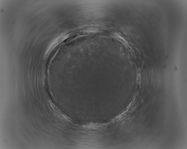 X0000065260293200603031835