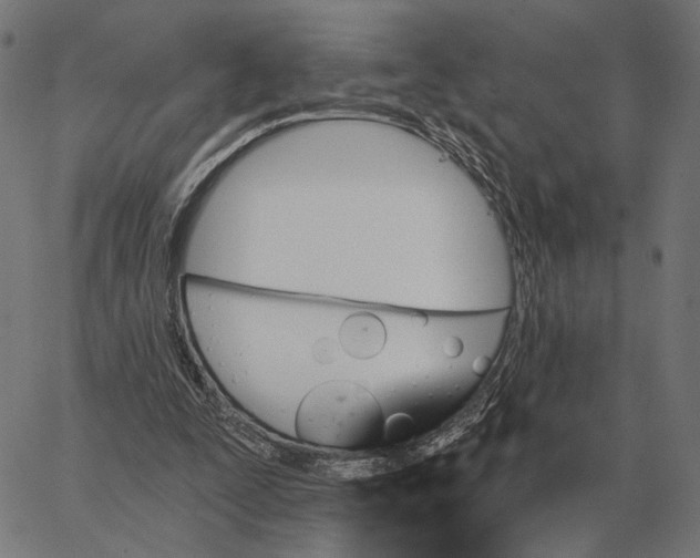 X0000065260295200603031835