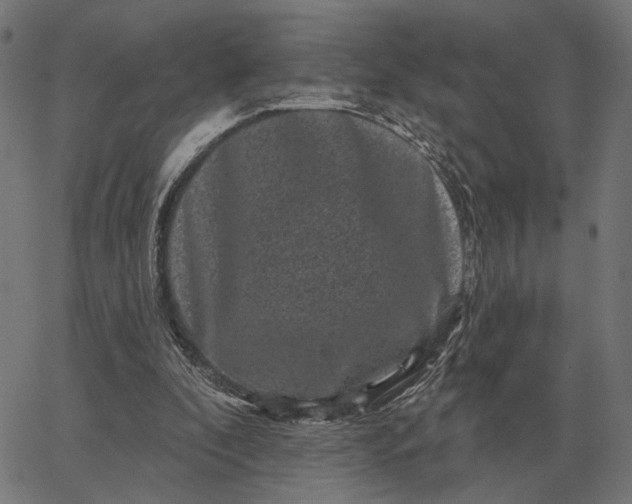 X0000065260296200603031835