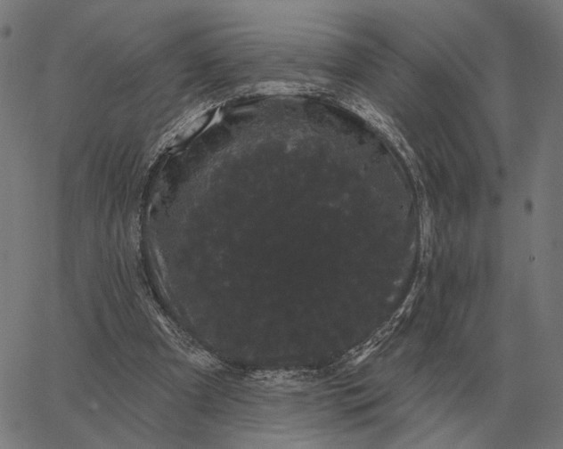 X0000065260297200603031835