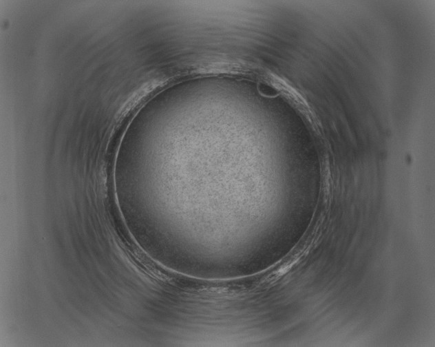 X0000065260298200603031835