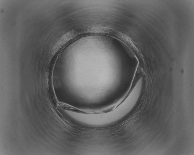 X0000065260299200603031835