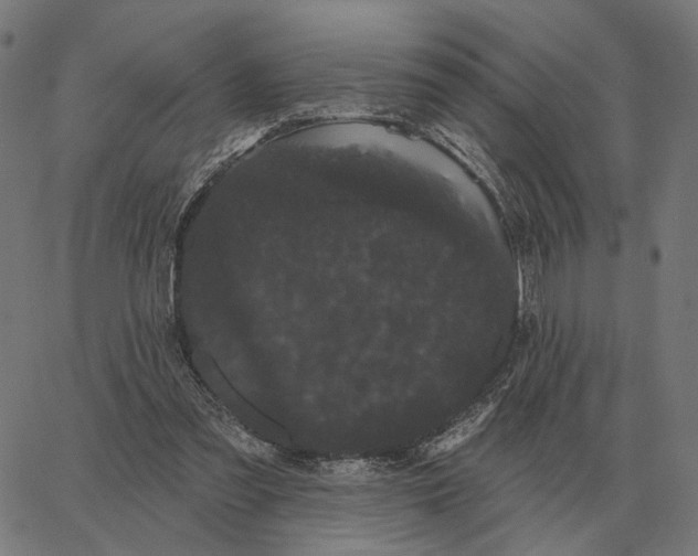 X0000065260301200603031835