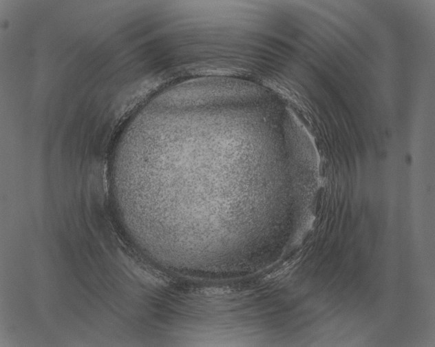 X0000065260302200603031835