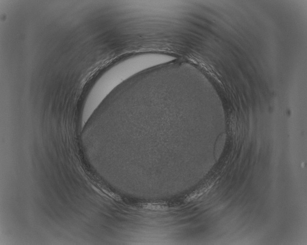 X0000065260303200603031835