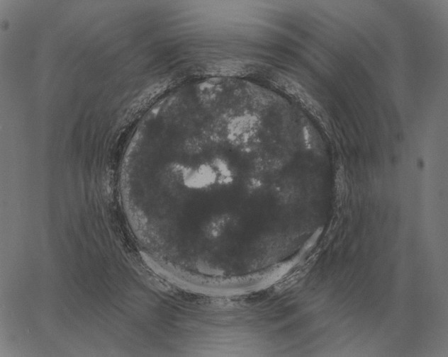 X0000065260305200603031835