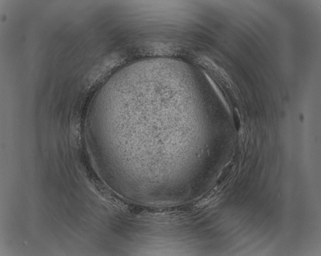 X0000065260306200603031835