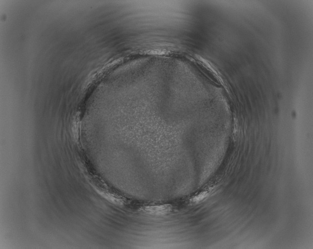 X0000065260307200603031835