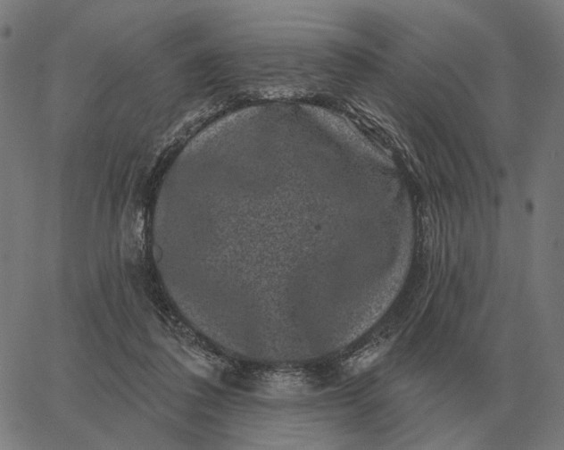 X0000065260308200603031835