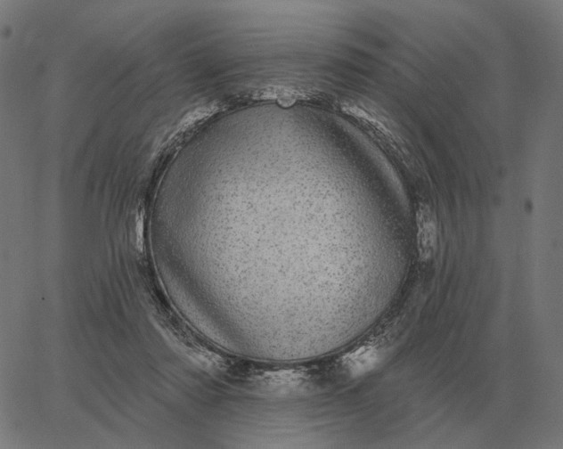 X0000065260310200603031835