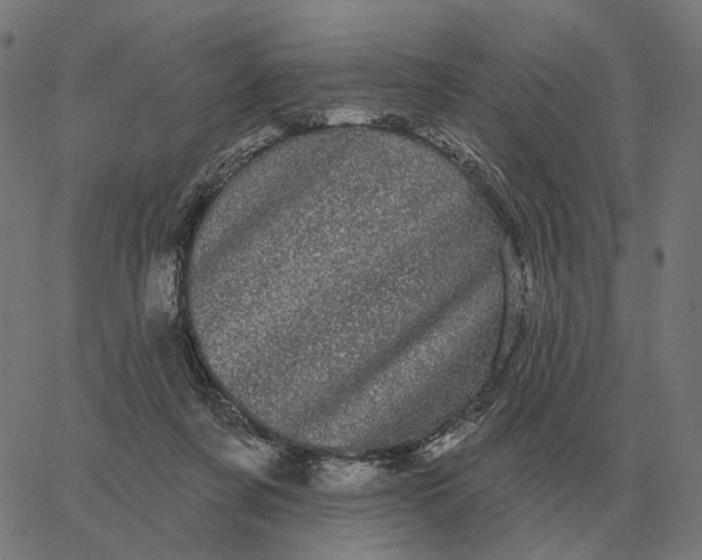 X0000065260311200603031835