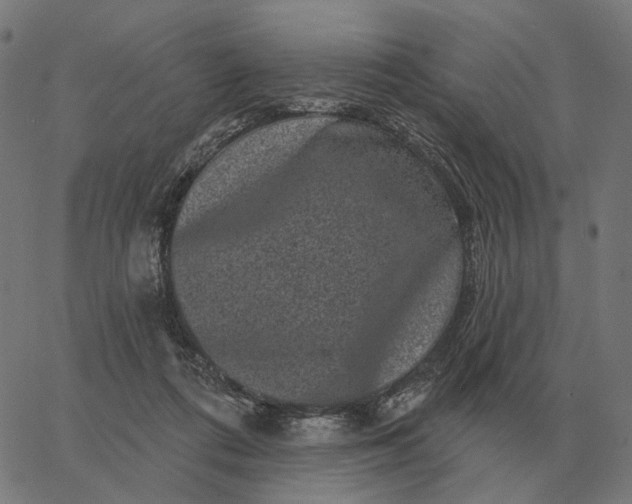 X0000065260312200603031835