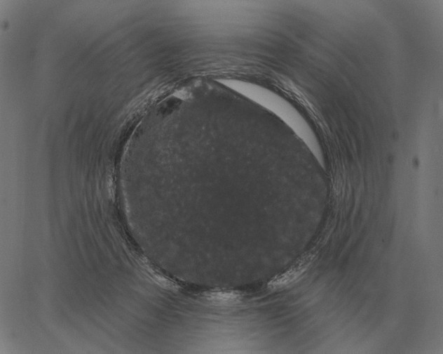 X0000065260313200603031835