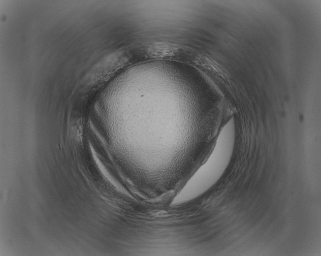 X0000065260315200603031835