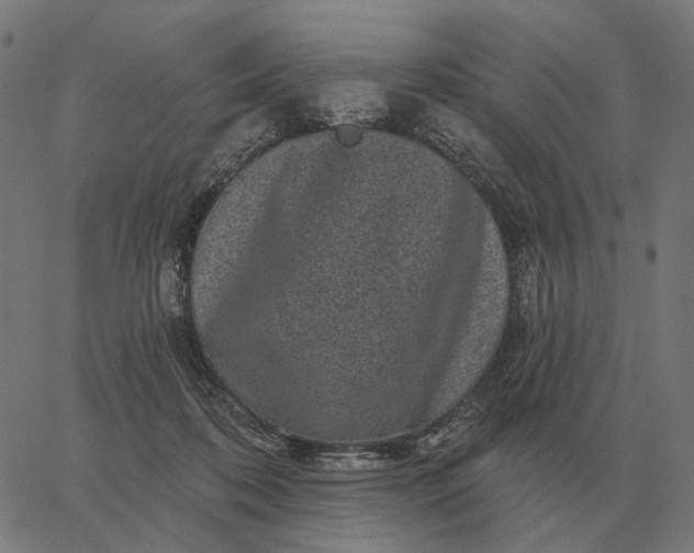 X0000065260316200603031835