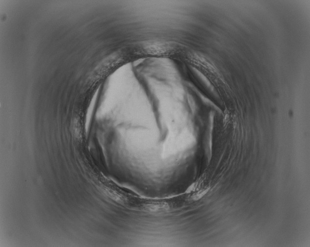 X0000065260317200603031835