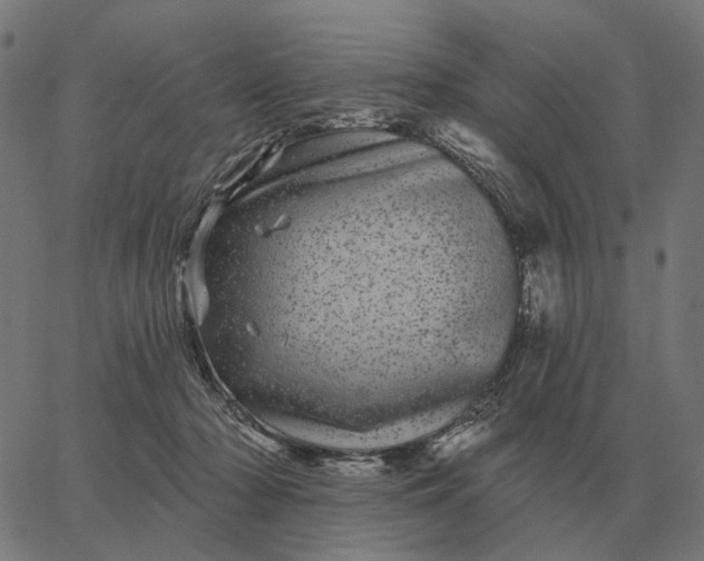 X0000065260318200603031835