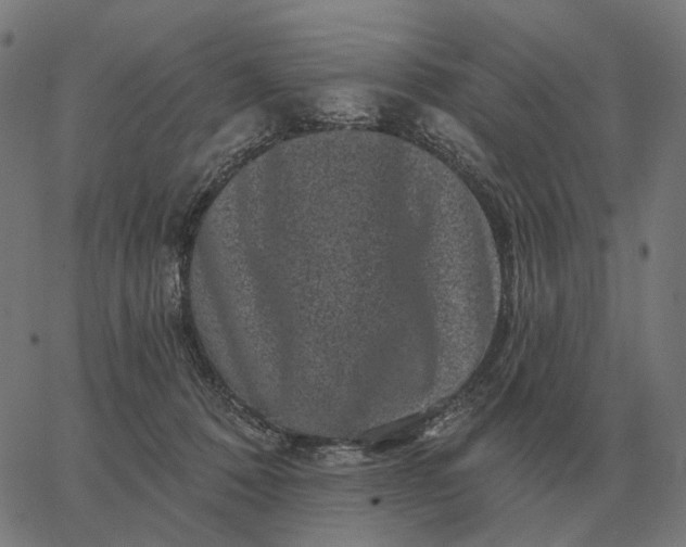 X0000065260320200603031835