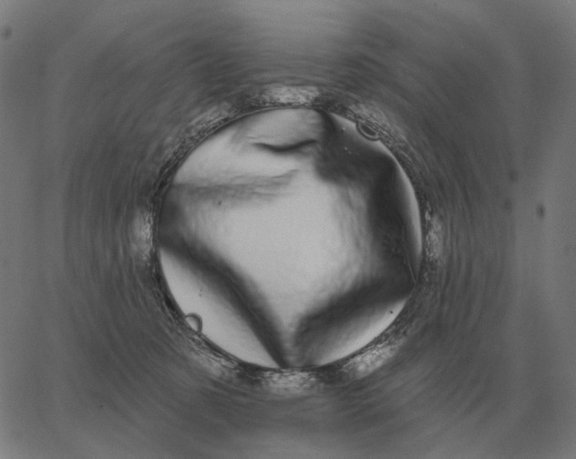 X0000065260321200603031835