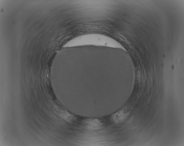 X0000065260322200603031835